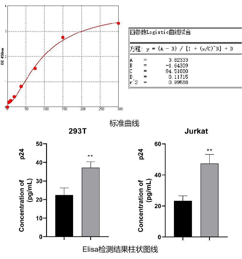 ELISA檢測(cè)蛋白含量
