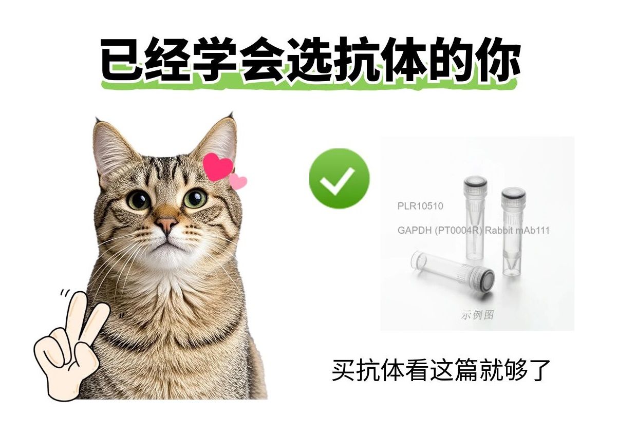2025年了，我不允許還有人不知道抗體選哪家！
