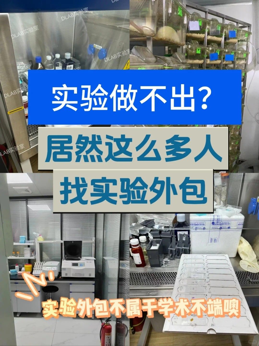 原來我們周圍有這么多人選擇實驗外包